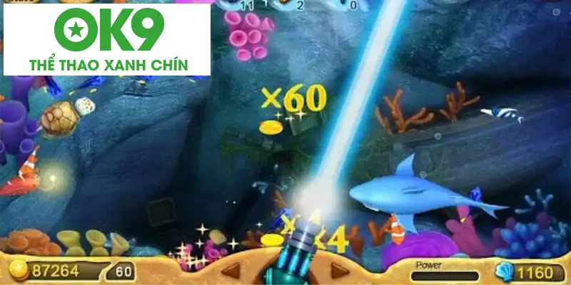 Súng phóng xạ: Vũ khí săn cá cực đỉnh Súng phóng xạ: Vũ khí săn cá cực đỉnh