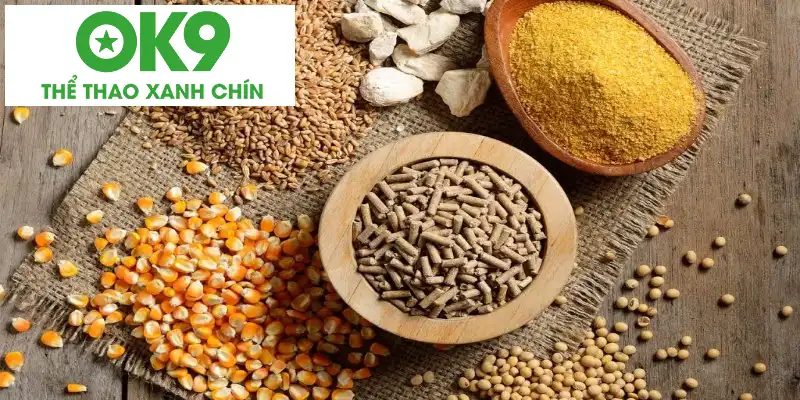 Về dinh dưỡng Về dinh dưỡng